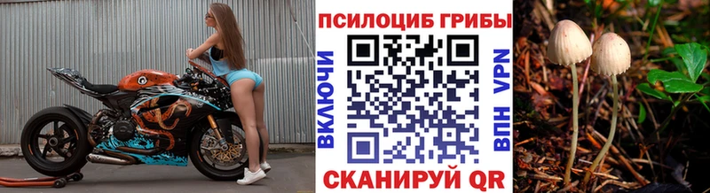 Галлюциногенные грибы Cubensis  как найти наркотики  Нижняя Салда 